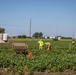 Soil treatment at Cornhusker Army Amunitions plant