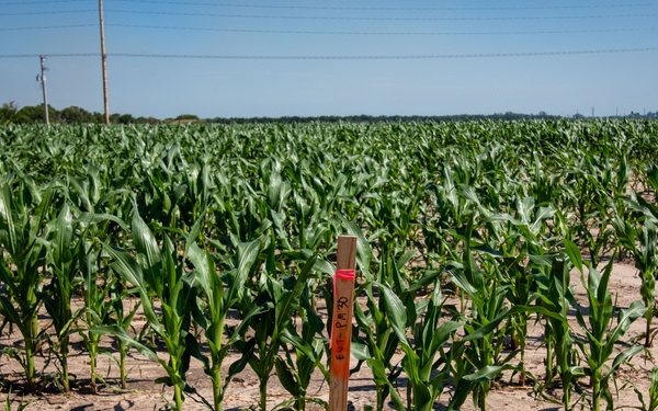 Soil treatment at Cornhusker Army Amunitions plant