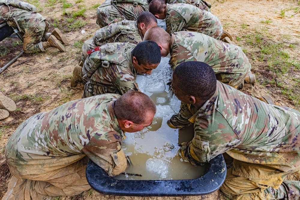 Infantry OSUT Obstacle Course