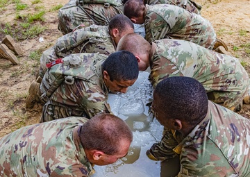 Infantry OSUT Obstacle Course