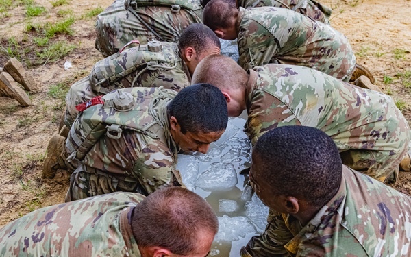 Infantry OSUT Obstacle Course
