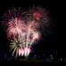 Fort Bliss Celebrates Independence Day early with Star Power, Community Fun