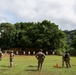 U.S. Marines and U.S. Army participate in joint training