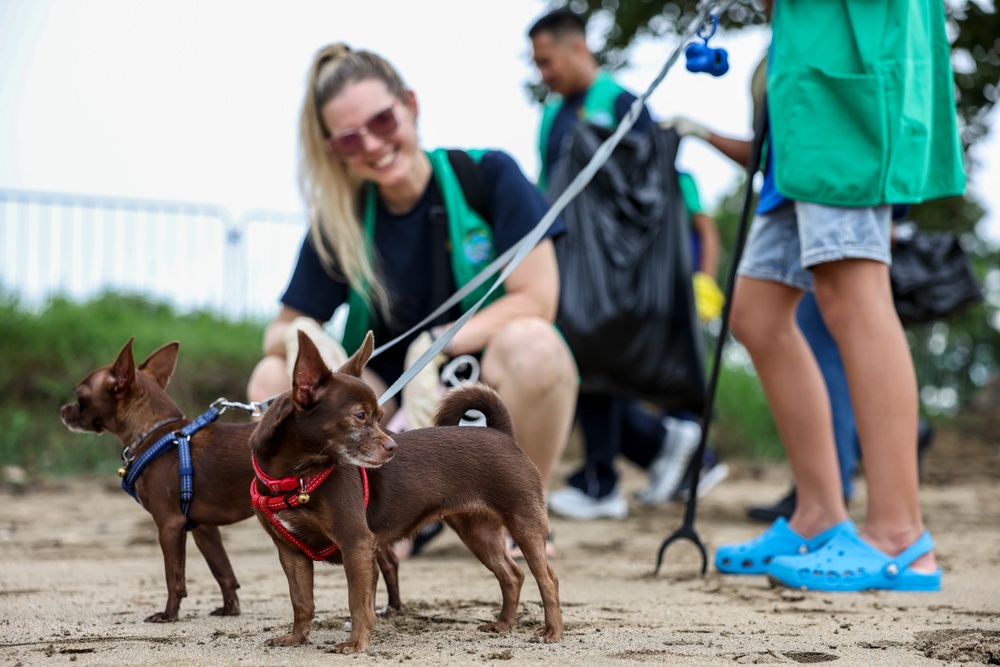 U.S. Navy Sailors clean up litter on a beach in Panama