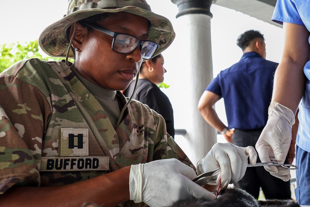 U.S. Army veterinarians provide aid for local pets