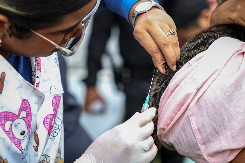 U.S. Army veterinarians provide aid for local pets