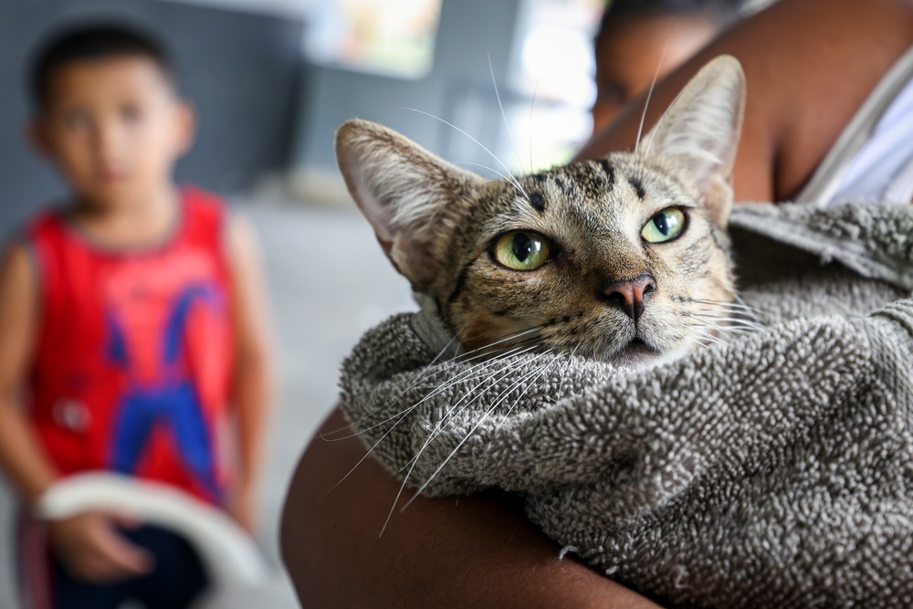 U.S. Army veterinarians provide aid for local pets