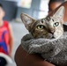 U.S. Army veterinarians provide aid for local pets