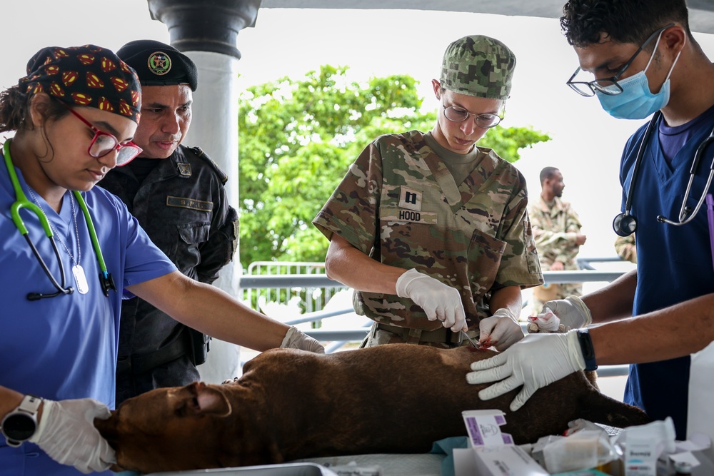 U.S. Army veterinarians provide aid for local pets