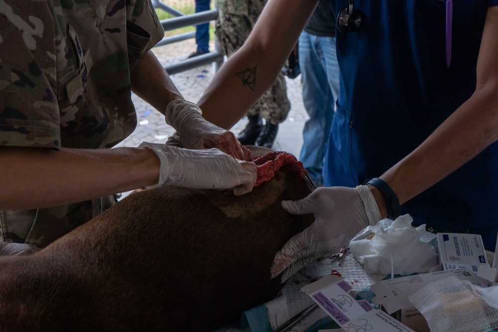 USNS Comfort Vet Site Panama CP25