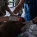 USNS Comfort Vet Site Panama CP25