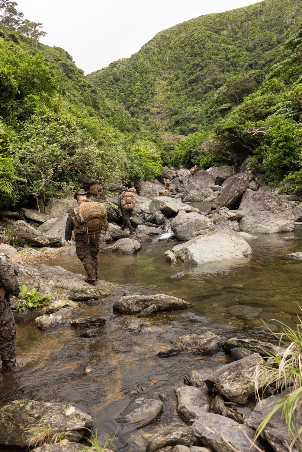 Jungle Leaders Course 25.2 | Culminating Event