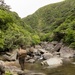 Jungle Leaders Course 25.2 | Culminating Event