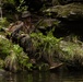 Jungle Leaders Course 25.2 | Culminating Event