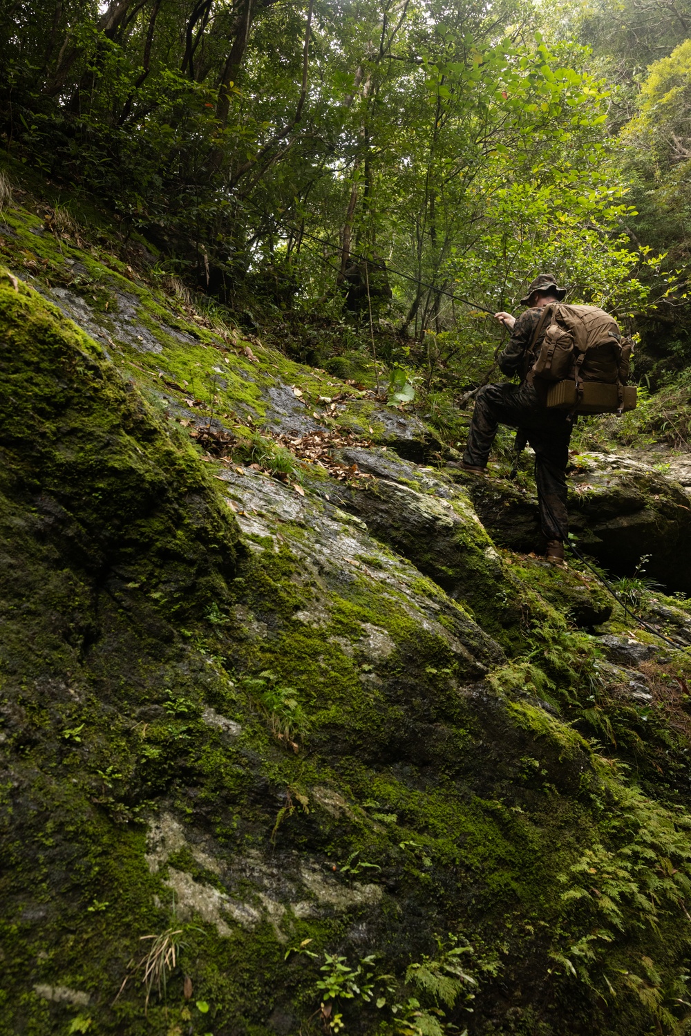 Jungle Leaders Course 25.2 | Culminating Event
