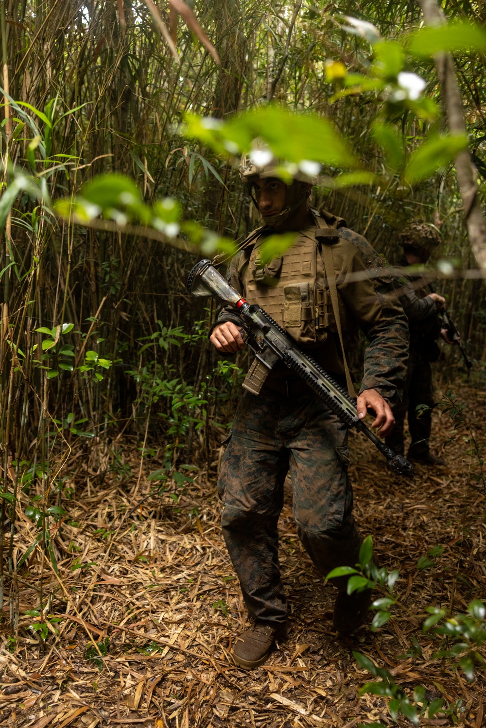 Jungle Leaders Course 25.2 | Culminating Event