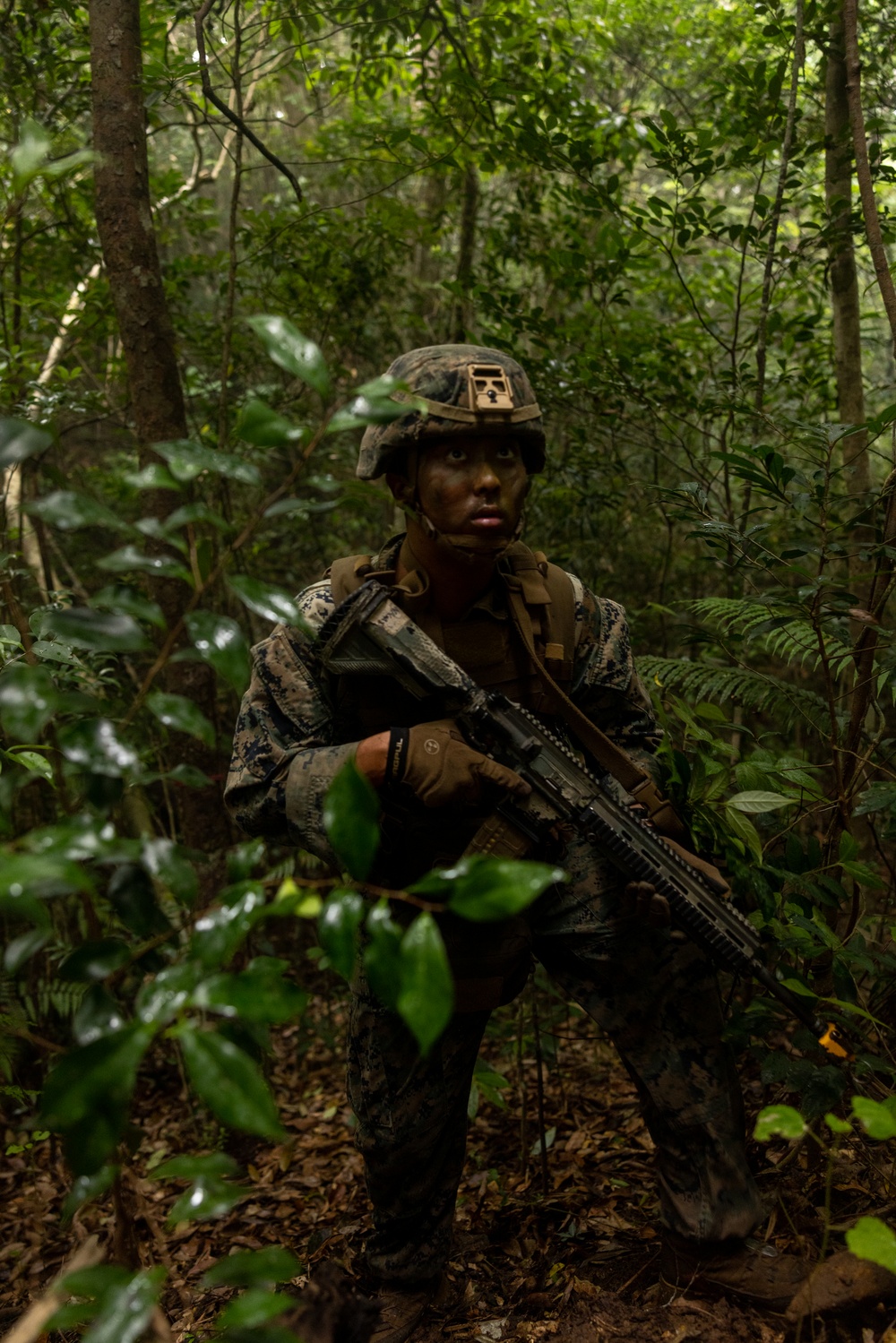 Jungle Leaders Course 25.2 | Culminating Event