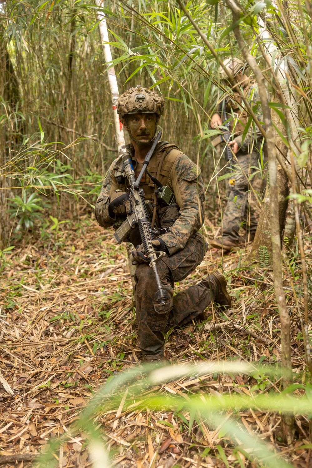 Jungle Leaders Course 25.2 | Culminating Event