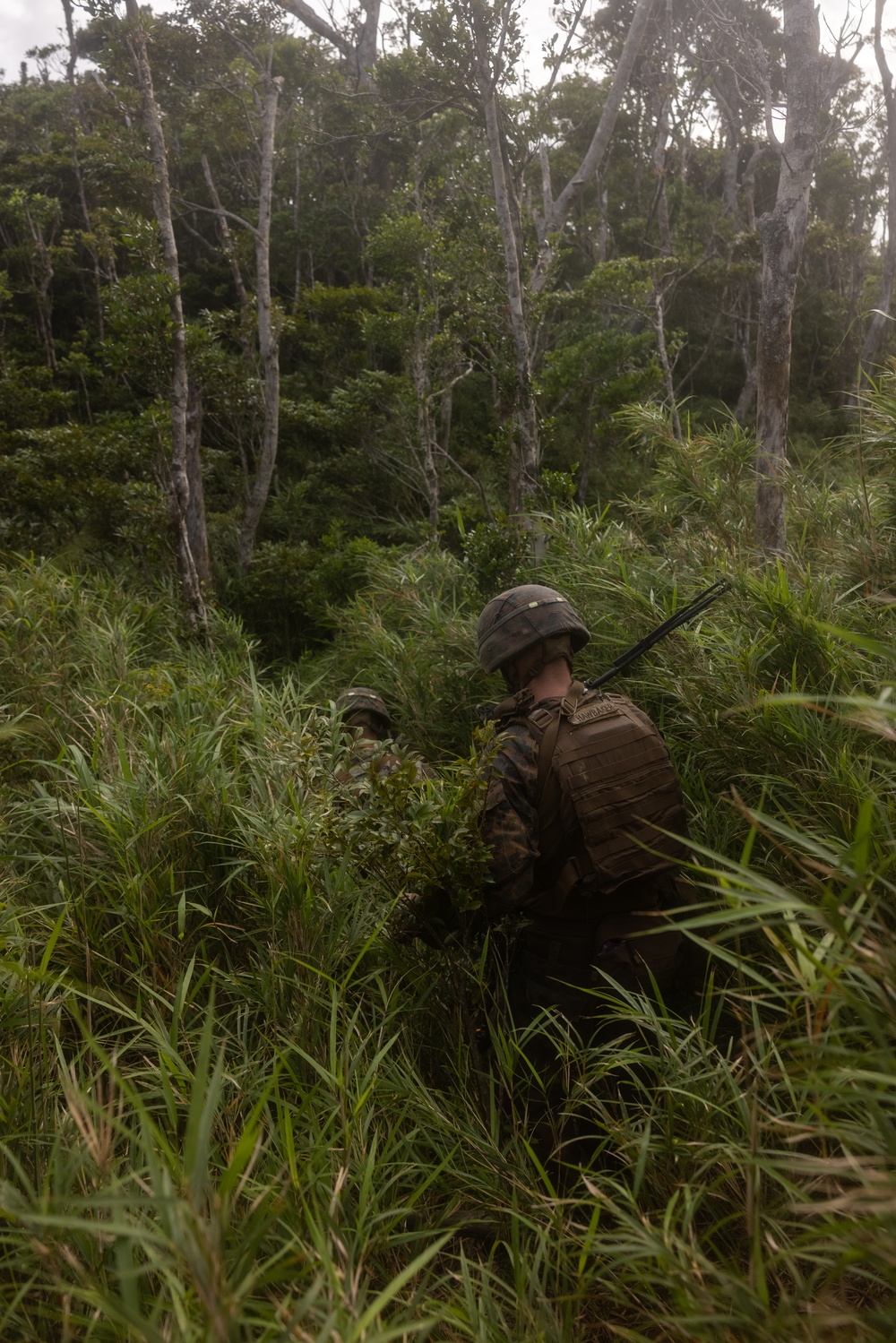 Jungle Leaders Course 25.2 | Culminating Event