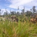 Jungle Leaders Course 25.2 | Culminating Event