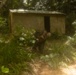 Jungle Leaders Course 25.2 | Culminating Event