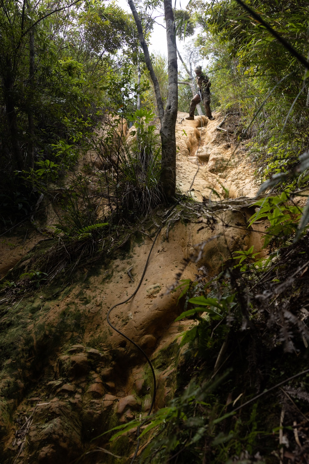 Jungle Leaders Course 25.2 | Culminating Event