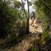 Jungle Leaders Course 25.2 | Culminating Event
