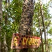 Jungle Leaders Course 25.2 | Culminating Event
