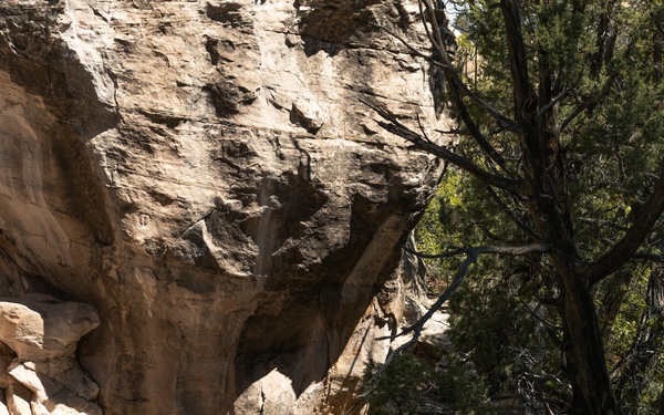 Gallup, New Mexico IRT 2025