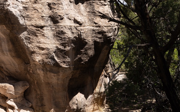 Gallup, New Mexico IRT 2025