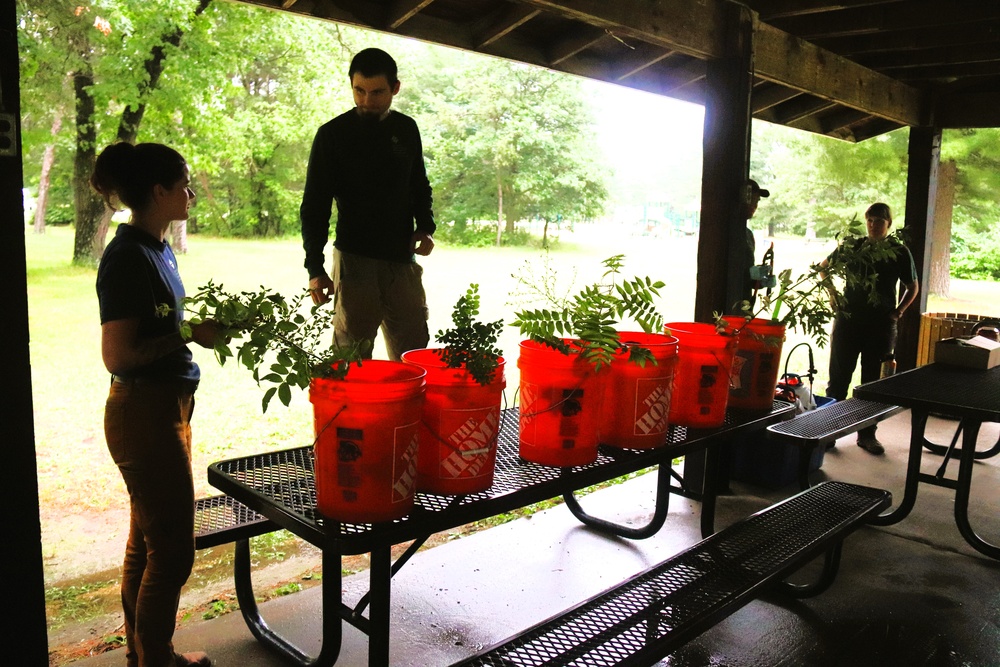 Fort McCoy Field Day: Invasive species working group holds 2025 event at installation