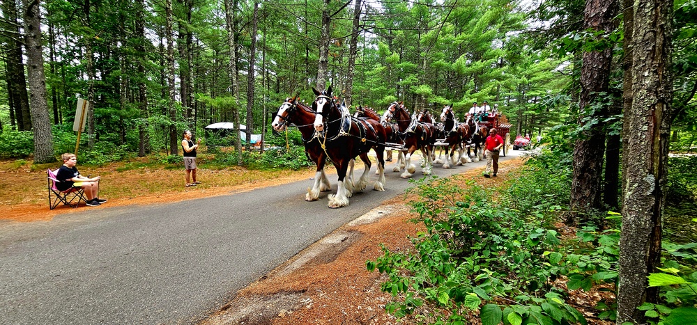 Hundreds attend Clydesdales visit to Fort McCoy; parade held at Pine View Campground