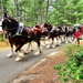 Hundreds attend Clydesdales visit to Fort McCoy; parade held at Pine View Campground