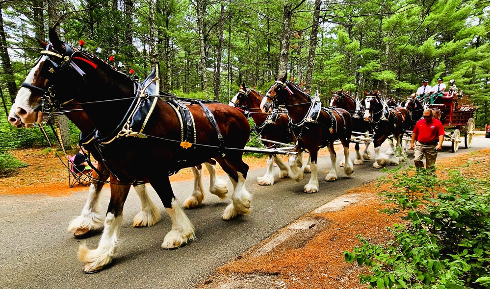 Hundreds attend Clydesdales visit to Fort McCoy; parade held at Pine View Campground
