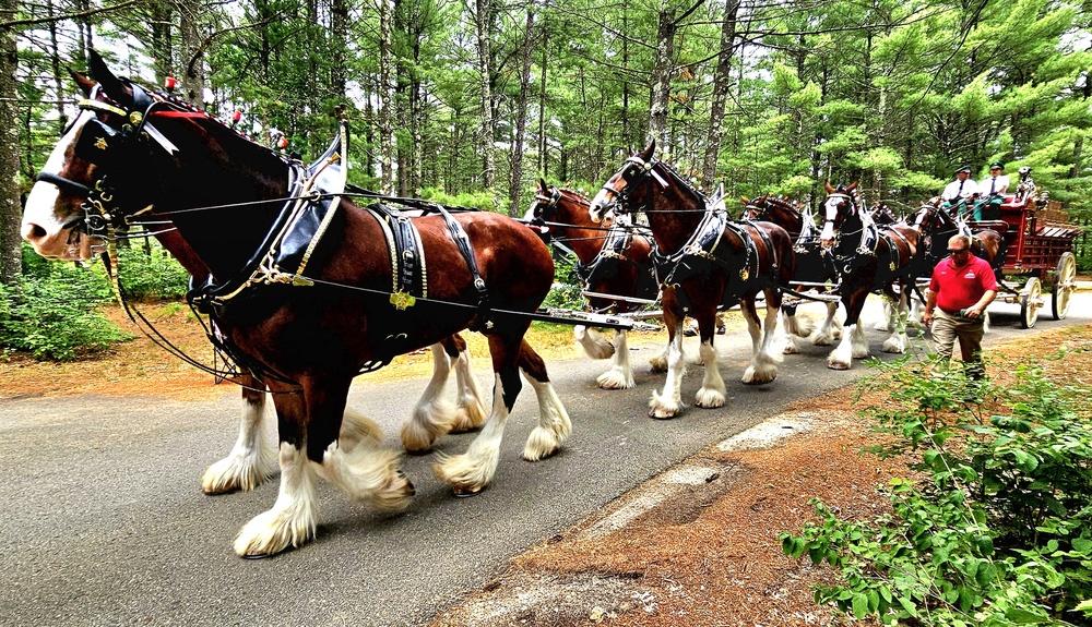 Hundreds attend Clydesdales visit to Fort McCoy; parade held at Pine View Campground