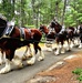 Hundreds attend Clydesdales visit to Fort McCoy; parade held at Pine View Campground