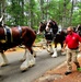 Hundreds attend Clydesdales visit to Fort McCoy; parade held at Pine View Campground