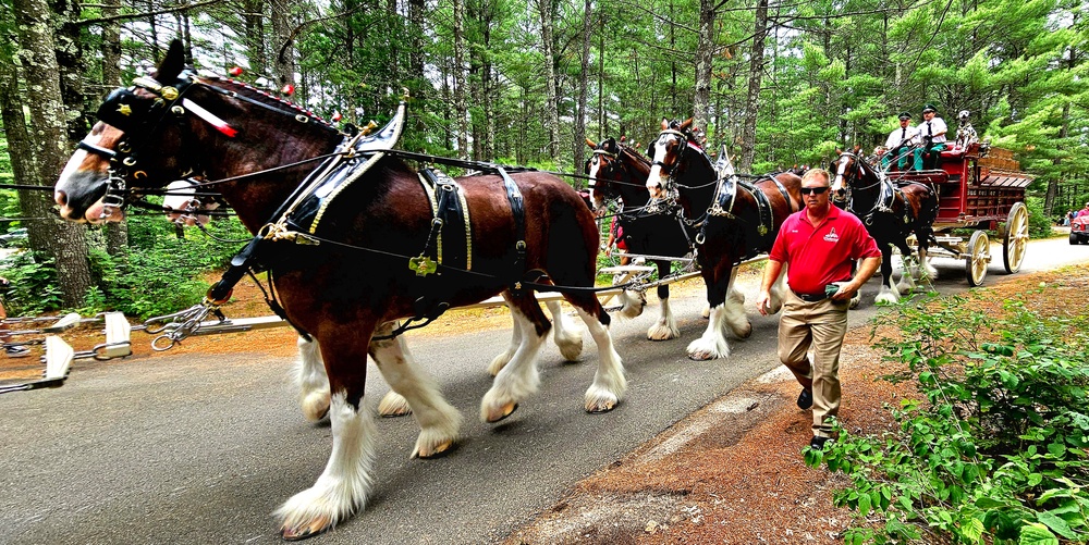 Hundreds attend Clydesdales visit to Fort McCoy; parade held at Pine View Campground