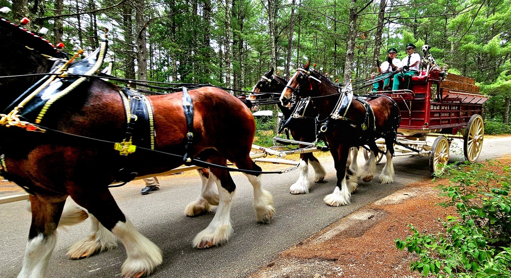 Hundreds attend Clydesdales visit to Fort McCoy; parade held at Pine View Campground