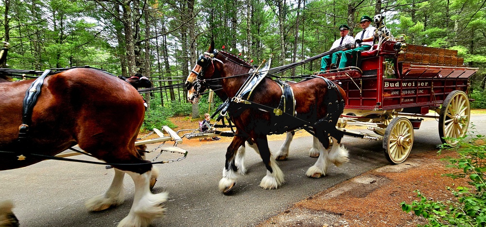 Hundreds attend Clydesdales visit to Fort McCoy; parade held at Pine View Campground