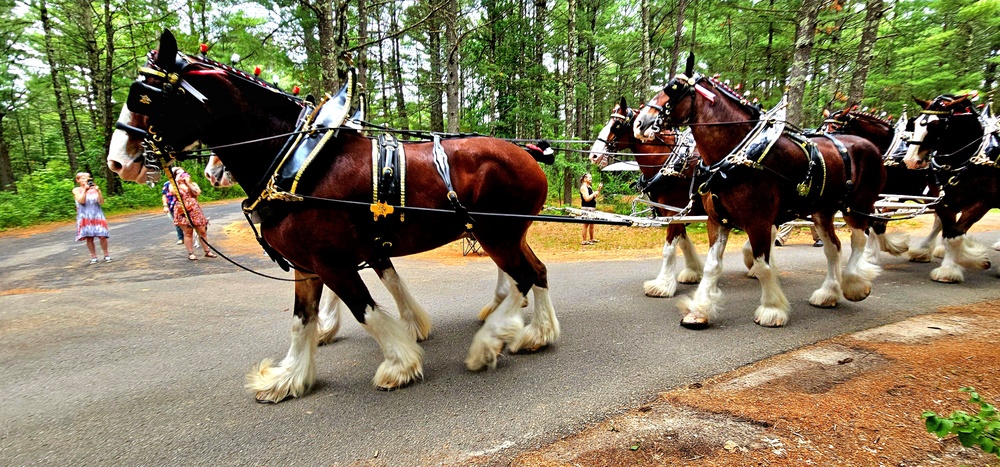 Hundreds attend Clydesdales visit to Fort McCoy; parade held at Pine View Campground