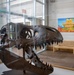 Fort Peck Interpretive Center celebrates 20 years
