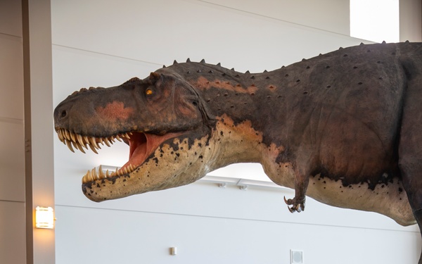 Fort Peck Interpretive Center celebrates 20 years