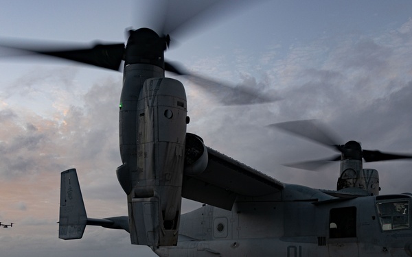 31st MEU | VMM 265 (Rein.) conducts flight operations
