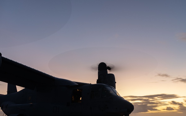 31st MEU | VMM 265 (Rein.) conducts flight operations