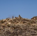 SLTE 4-25: Live-Fire Platoon Attack