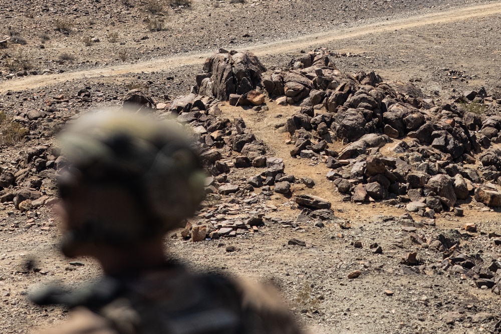 SLTE 4-25: Live-Fire Platoon Attack