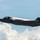 325th Fighter Wing leads the way during Red Flag-Alaska 25-3