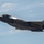 325th Fighter Wing leads the way during Red Flag-Alaska 25-3