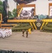 Army’s 250th Birthday Parade Pass in Review